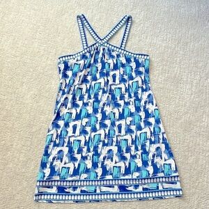 BCBGMaxAzria Blue and White Patterned Dress